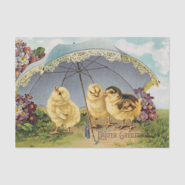 Vintage Easter Chicks Under an Umbrella Tissue Paper (Front)