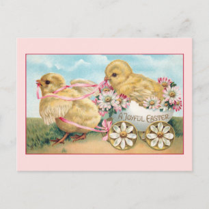 Vintage Easter Chicks with Daisies Postcard