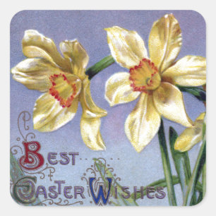 Vintage Easter Daffodils Square Sticker
