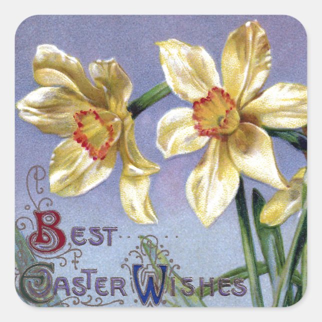 Vintage Easter Daffodils Square Sticker (Front)