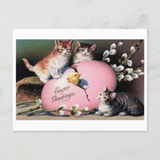 Vintage 'Easter Greetings' Cats & Chick Postcard