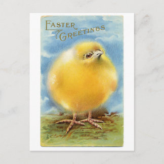 Vintage Easter Greetings Fuzzy Chick Holiday Postcard