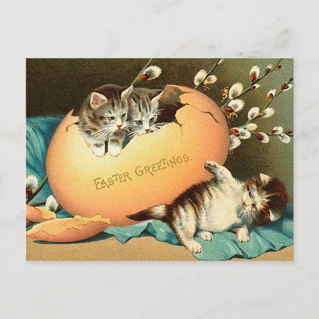Vintage Easter Kitten Postcard (Front)