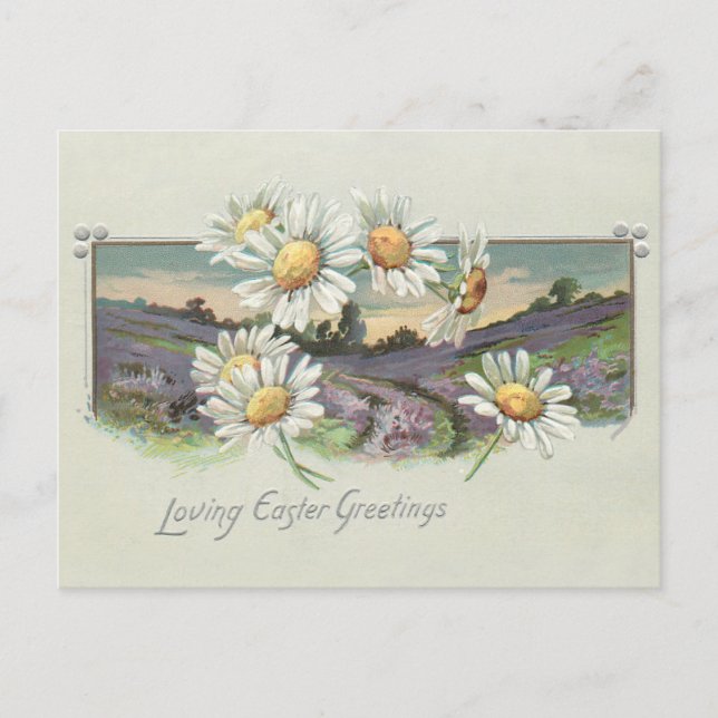 Vintage Easter Landscape and Daisies Holiday Postcard (Front)