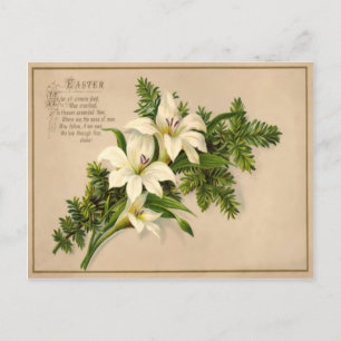 Vintage Easter Lily Postcard