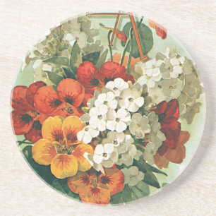 Vintage Eastman's Seed Catalogue Cover Art, 1897 Coaster