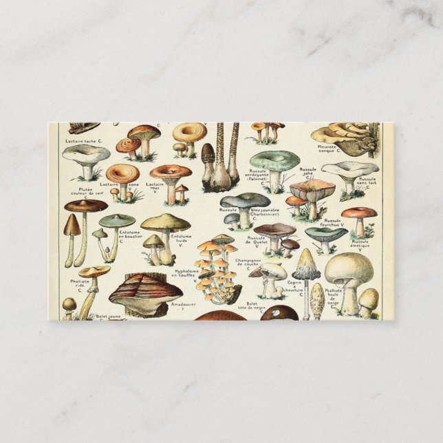 Vintage Edible Mushroom Chart Business Card (Front)