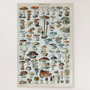 Vintage Edible Mushroom Chart Jigsaw Puzzle