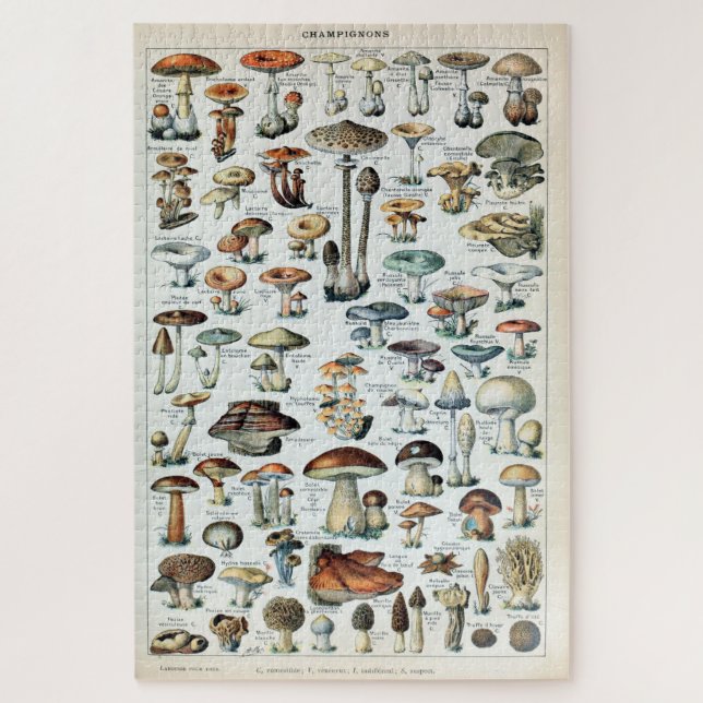 Vintage Edible Mushroom Chart Jigsaw Puzzle (Vertical)