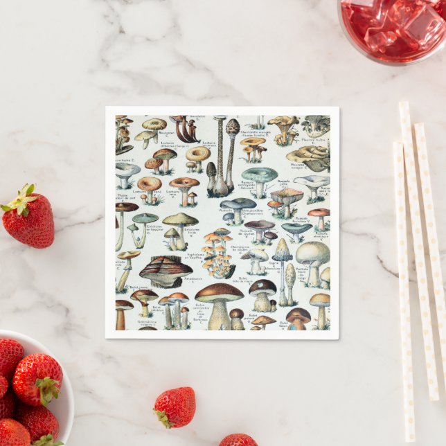 Vintage Edible Mushroom Chart Napkin (Insitu)