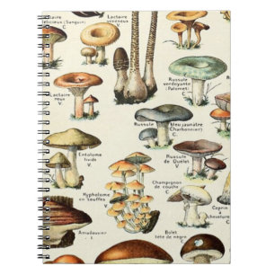 Vintage Edible Mushroom Chart Notebook