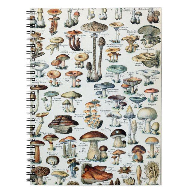 Vintage Edible Mushroom Chart Notebook (Front)