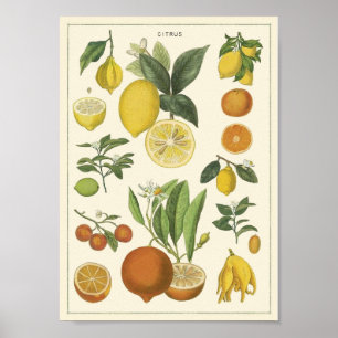 Vintage educational poster