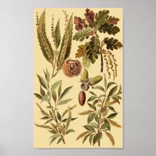 Vintage educational poster