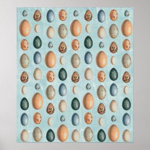 Vintage Eggs Poster