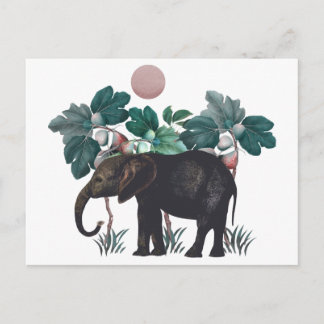 Vintage Elefant Postcard