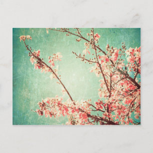 Vintage elegant worn teal wood & cherry blossom postcard