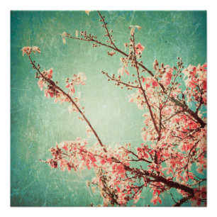 Vintage elegant worn teal wood & cherry blossom poster