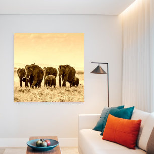 vintage elephant canvas print