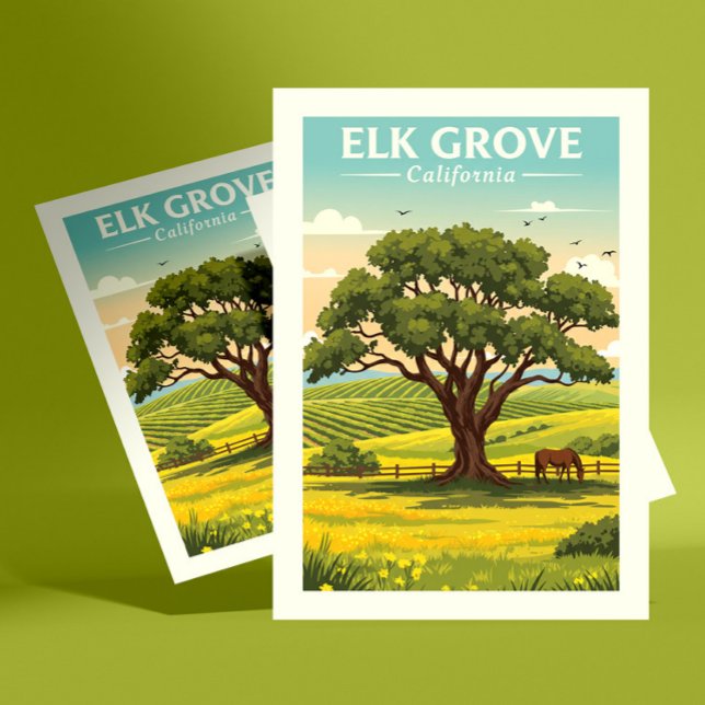 Vintage Elk Grove California Postcard (Creator Uploaded)