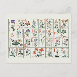 Vintage embroidery alphabet sampler Wildflowers Postcard