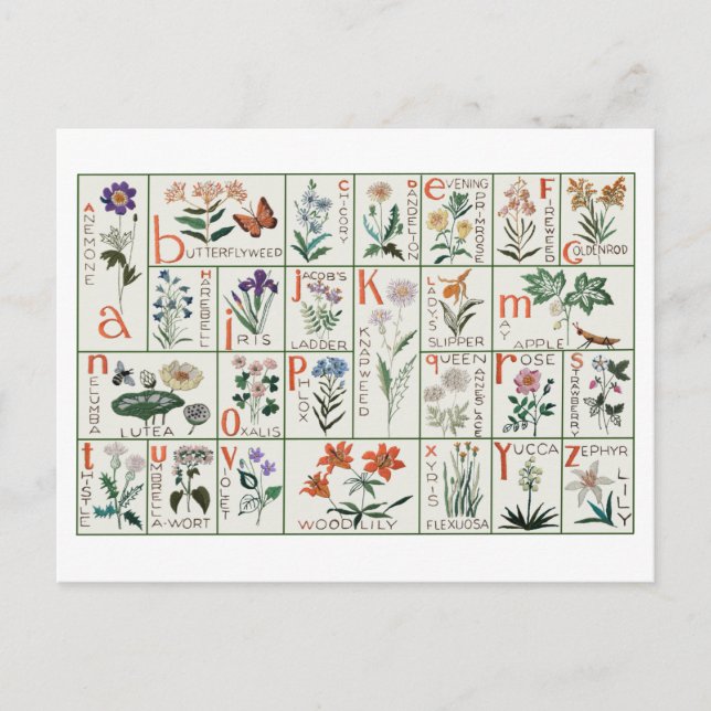 Vintage embroidery alphabet sampler | Wildflowers Postcard (Front)