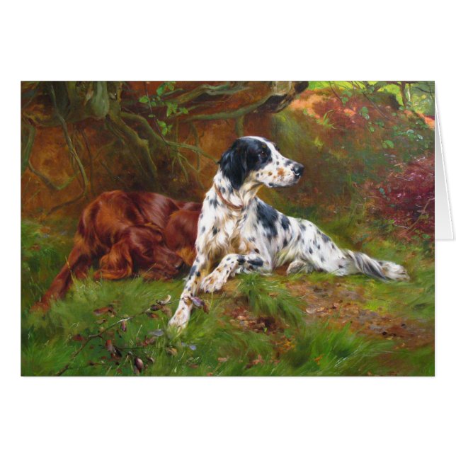 Vintage - English & Irish Setter Dogs, (Front Horizontal)