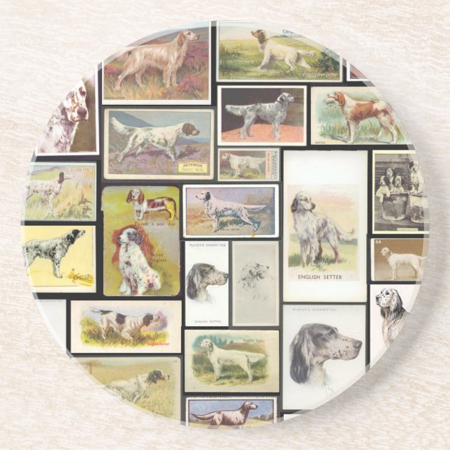 Vintage English Setter Cigarette Card Coaster (Front)