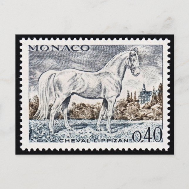 Vintage Engraved Stamp Postcard (Front)