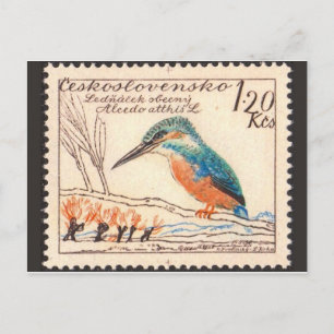 Vintage Engraved Stamp Postcard