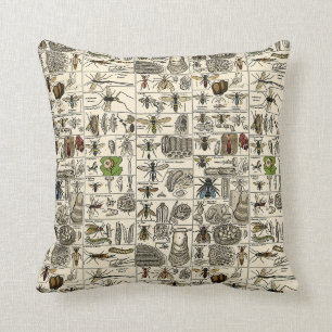 Vintage Entomology Cushion