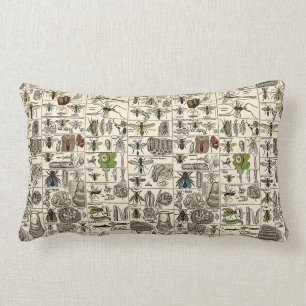 Vintage Entomology Lumbar Cushion