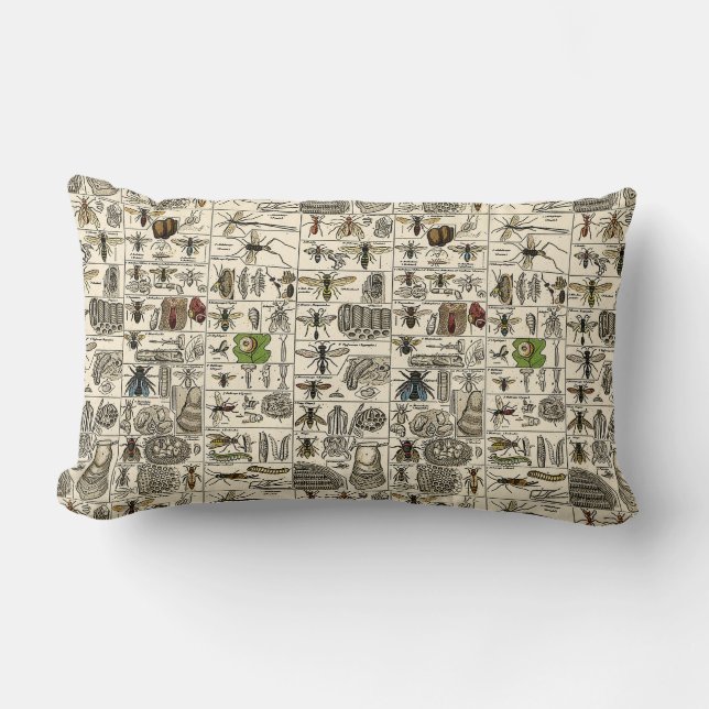 Vintage Entomology Lumbar Cushion (Front)