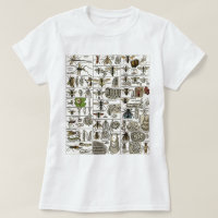 Vintage Entomology