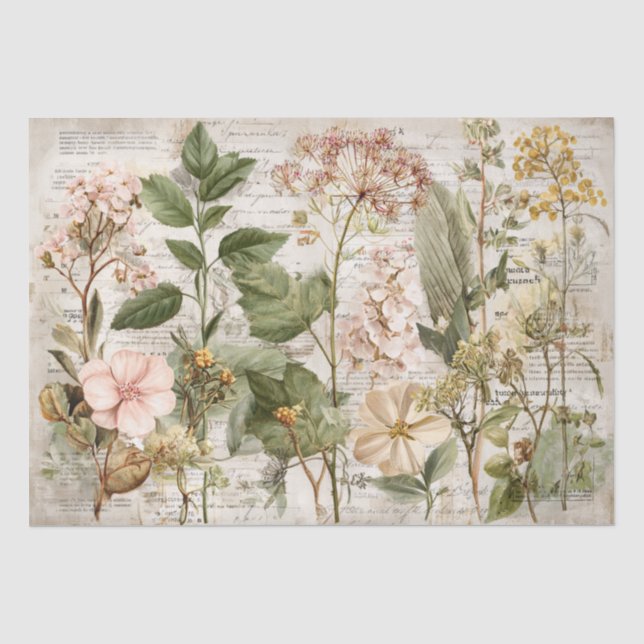 Vintage Ephemera Botanical Collage Tissue Paper (Front)