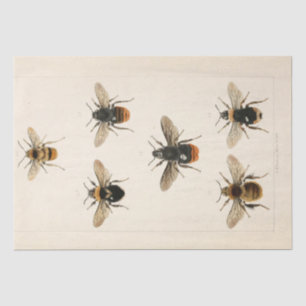 Vintage Ephemera Script Bee Decoupage Tissue Paper