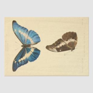 Vintage Ephemera Script Blue Butterfly Decoupage Tissue Paper