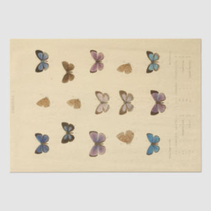 Vintage Ephemera Script Butterfly Decoupage Tissue Paper