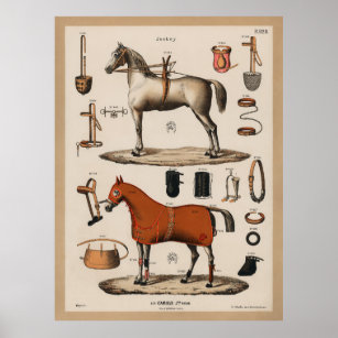 Vintage Equestrian Horse Riding Tack Jockey Poster