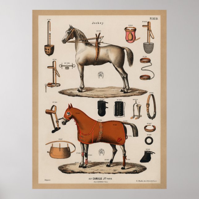 Vintage Equestrian Horse Riding Tack Jockey Poster (Front)