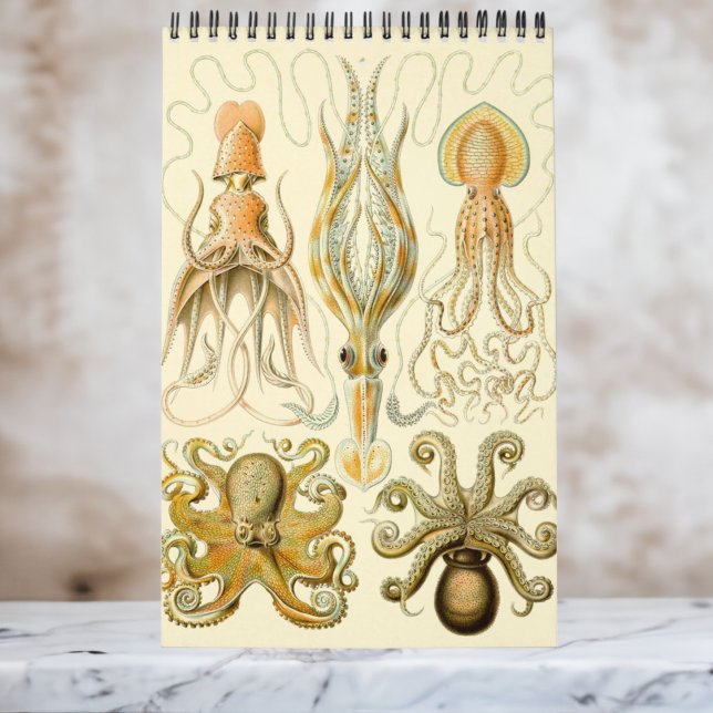 Vintage Ernst Haeckel, Biology, Botany, Science Ca Calendar (Ernst Haeckel Wall Calendar)