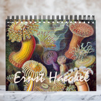 Vintage Ernst Haeckel, Biology, Botany, Science