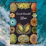 Vintage Ernst Haeckel, Biology, Botany, Science Calendar<br><div class="desc">12 month calendar featuring vintage illustrations by Ernst Haeckel. Great gift for science nerds and geeks! From Marine biology to botany and beyond! Includes nature scenes with animals, creepy spiders, tropical plants, flowers and orchids from the rainforests, aquatic life, sea anemones, sea slugs, jellyfish, turtles, tortoises, lizards, frogs, seashells, octopi,...</div>