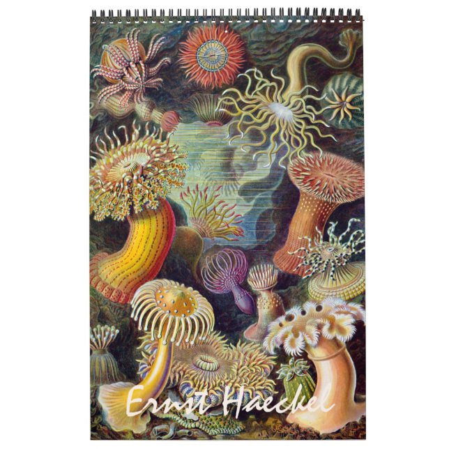Vintage Ernst Haeckel, Biology, Botany, Science Calendar (Cover)