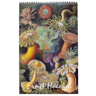 Vintage Ernst Haeckel, Biology, Botany, Science Calendar