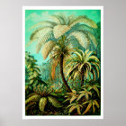 Vintage Ernst Haeckel Botanical Palms