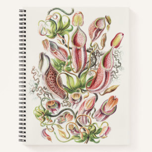 Vintage Ernst Haeckel Botanical Pitcher Plant Notebook