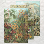 Vintage Ernst Haeckel Botany Designs Wrapping Paper Sheet<br><div class="desc">Vintage illustration marine life biology designs by Ernst Haeckel. Sheet 1: A variety of colourful mosses, grasses and other exotic tropical plants in a rainforest jungle. Sheet 2: A bouquet of beautiful tropical orchid flowers from the rainforest jungles. The featured exotic plants include Cymbidiums, Oncidiums, Odontoglossums, Cattleyas. Sheet 3: A...</div>