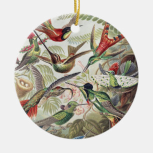 Vintage Ernst Haeckel Colourful Hummingbird Poster Ceramic Ornament