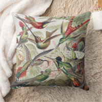 Vintage Ernst Haeckel Colourful Hummingbird Poster